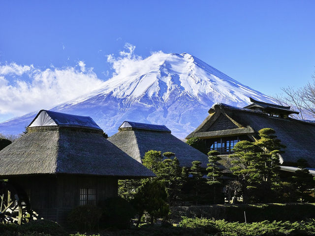 「富士山：夏冬遊，美食，感受日本精神之旅」