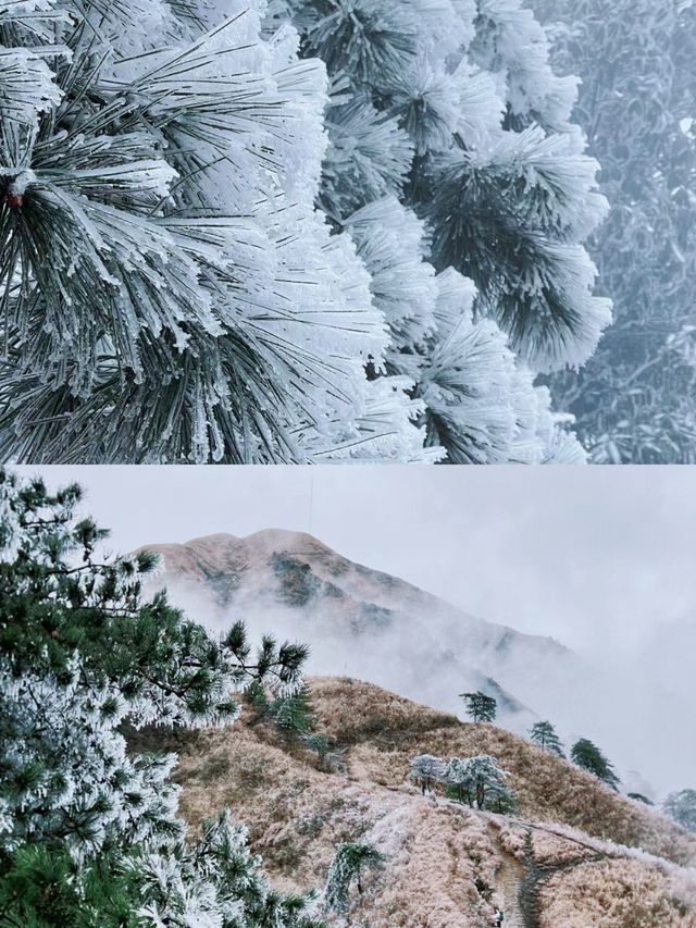 冬游江西一-萍鄉·武功山賞雪攻略(建議收藏)