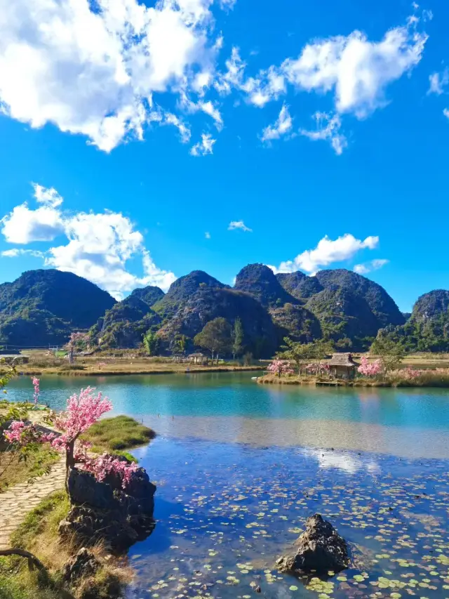 Which place is more beautiful in Yunnan, Lijiang, Dali, Kunming, or Puzhehei? I've been there four times