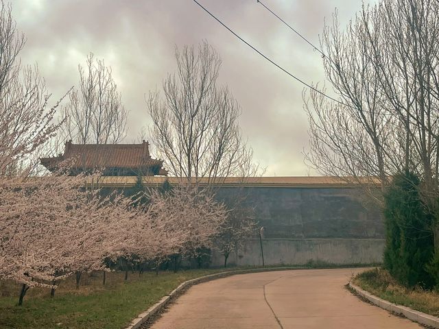 刷到即遇好運---青雲寺