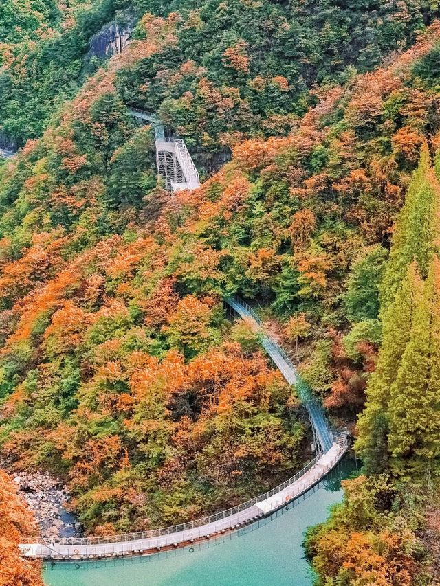 杭州大明山的雲海日出真的浪漫至極