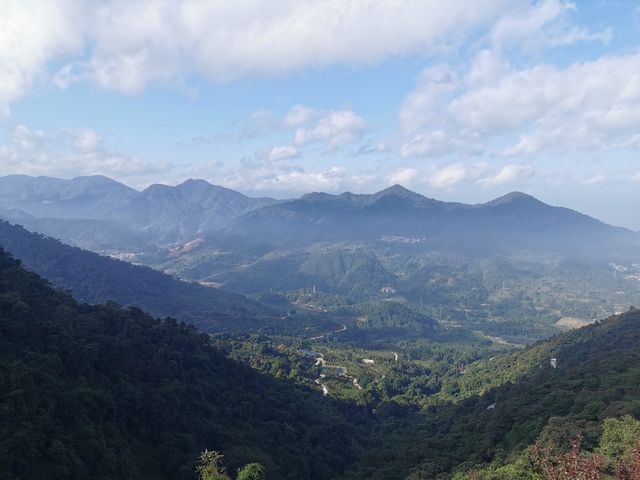 天然大氧吧|新興象窩生態園