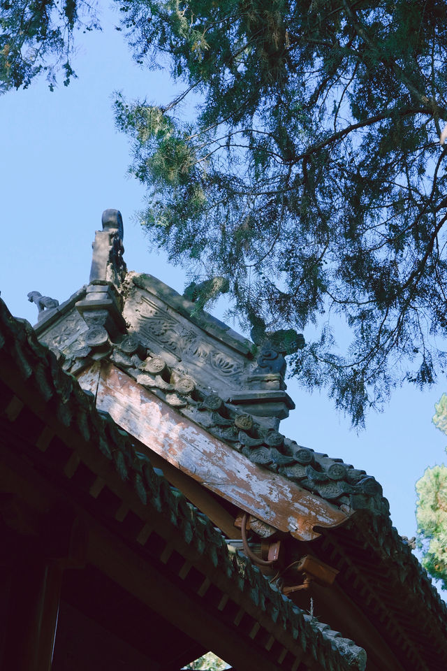 比起少林寺，更愛這個香火縈繞的白馬寺