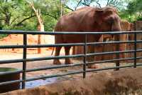 上海動物園｜這裡允許你童心未泯