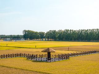 Harvest, Huachuan enters the happiest season of the year
