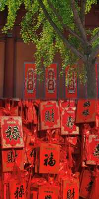 鄭州大觀音寺 | 一方淨土  三柱清香