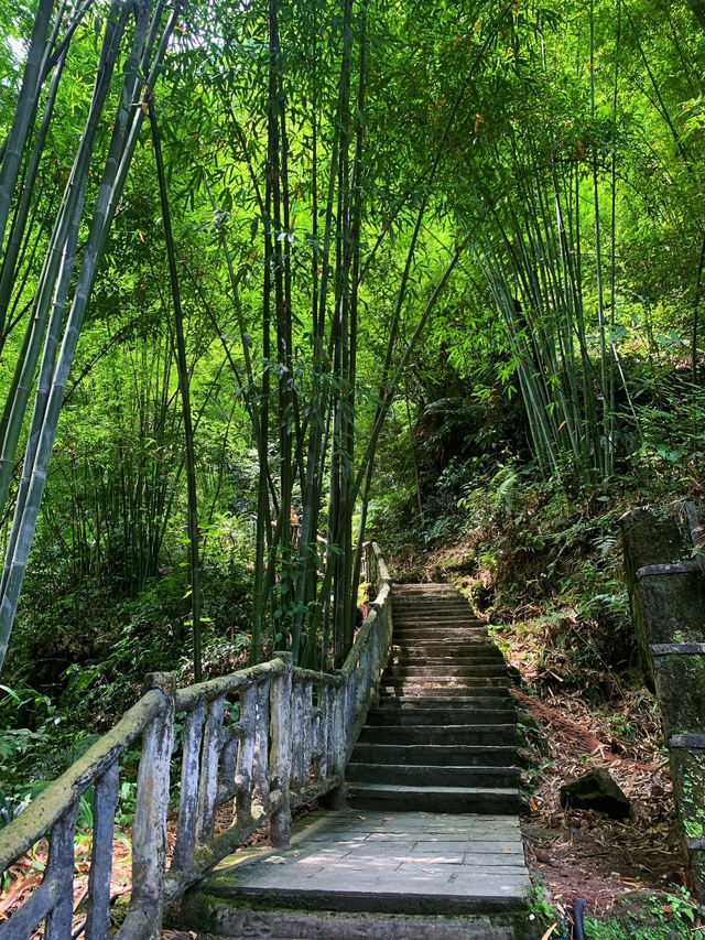 你想看什麼樣的風景，我們一起來感受大自然吧！