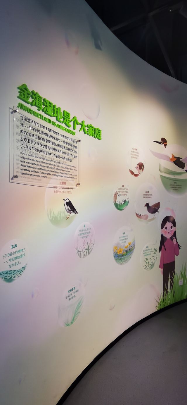 金海濕地科普館:上海市內首座城市濕地科普館 金海濕地科普館:上海市內首座城市濕地科普館