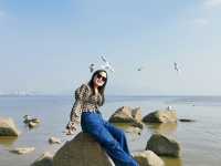 冬日浪漫——約會深圳灣公園