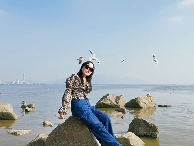 冬日浪漫——約會深圳灣公園 冬日浪漫——約會深圳灣公園