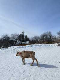 旅行碎片 雪嶺-二道白河 優質版攻略～