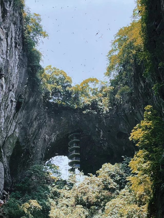 洞天仙境｜華南第一坑，有被震撼到