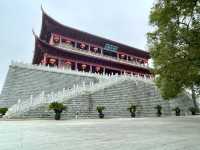 屏山公園賞櫻