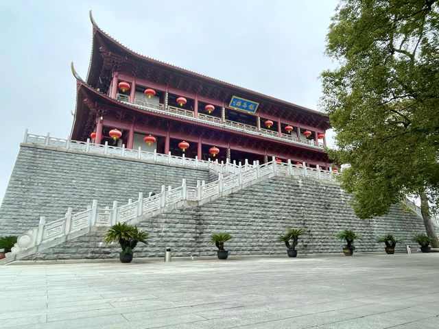 屏山公園賞櫻