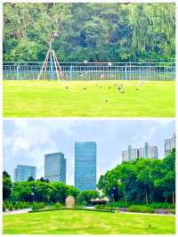 今夏，世紀公園「芳花園」卸下一千米的圍牆，與周邊街區融為一體！