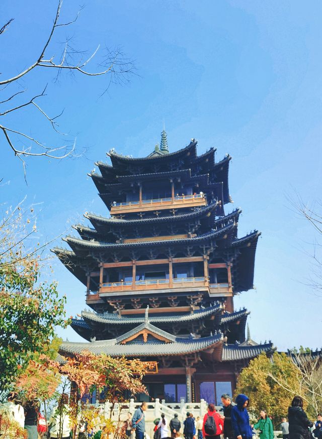 春遊好去處——半山國家森林公園