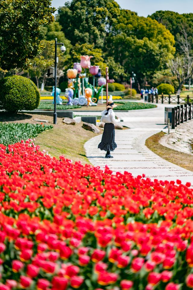莫奈花園走進現實！在上海狂拍1000張！