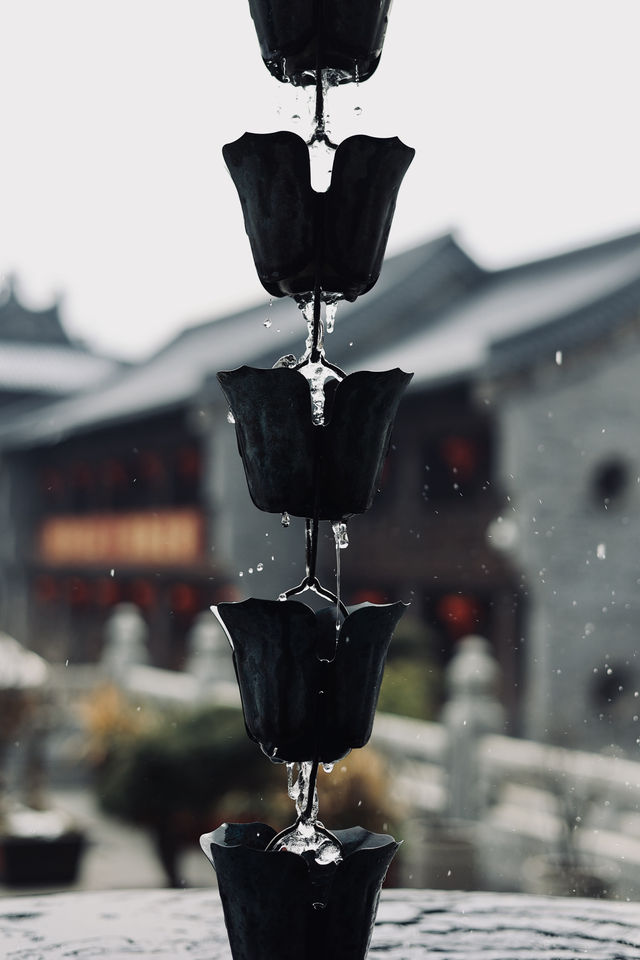 人間彌勒,寧波雪竇寺 人間彌勒,寧波雪竇寺