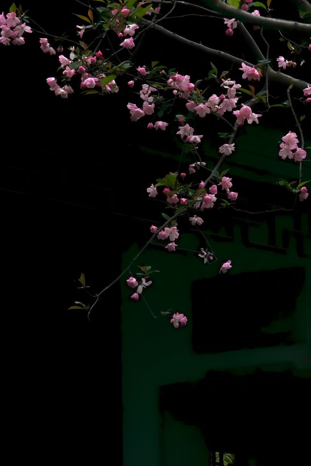 二泉書院