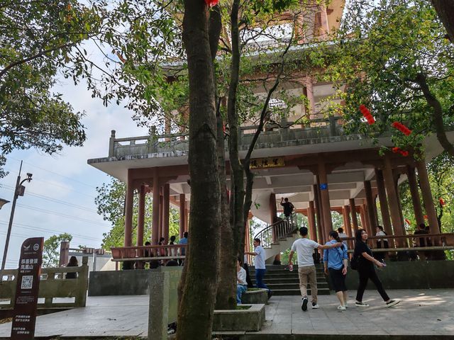 攀登深圳十峰之一的鳳凰山