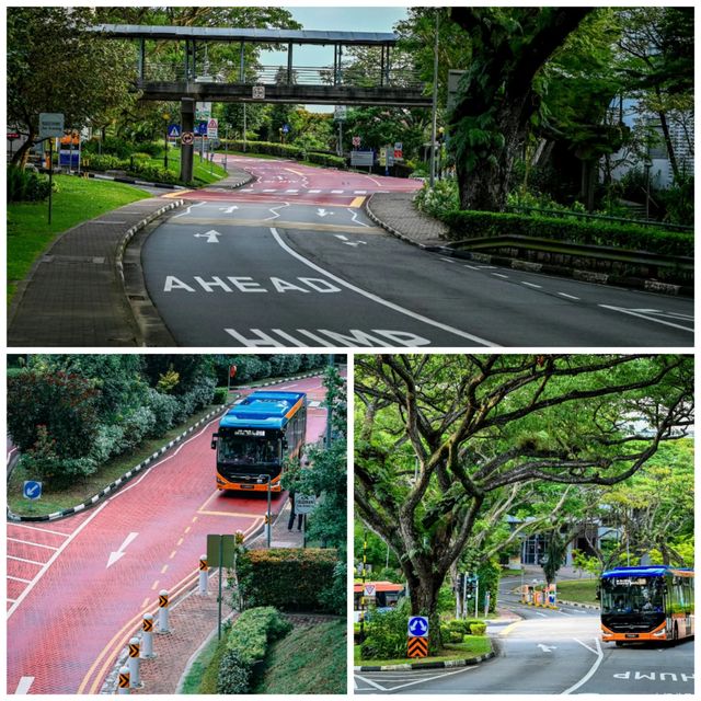 新加坡國立大學｜第一次去的超全攻略