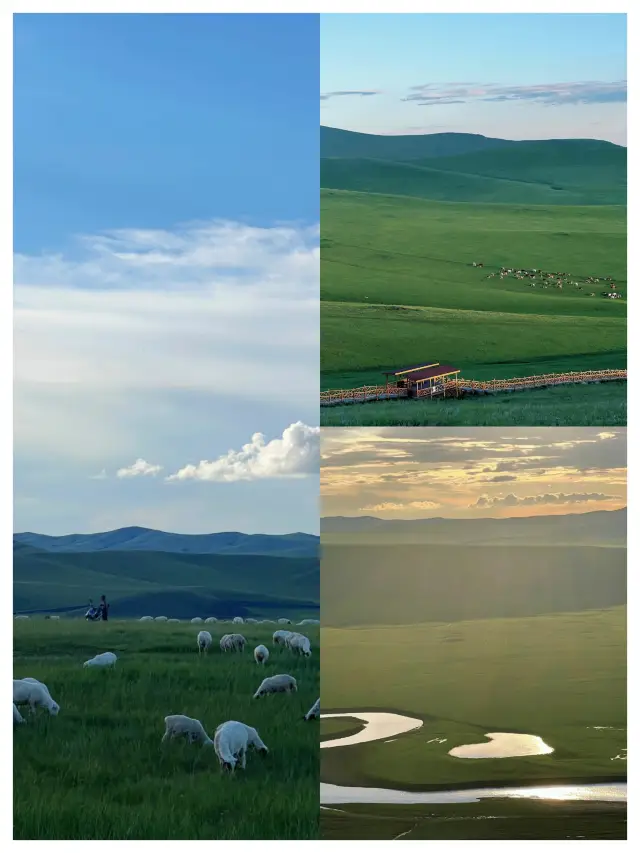 Day1 was healed by Hulunbuir