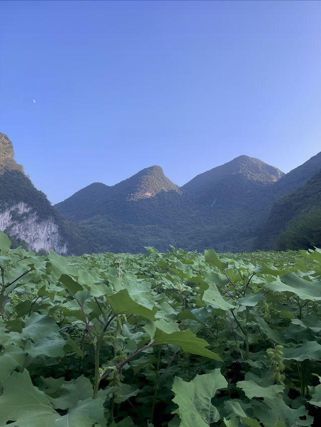 清遠牛湖線，風景很美，人也很累