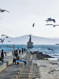 釜山海邊0元徒步一日遊