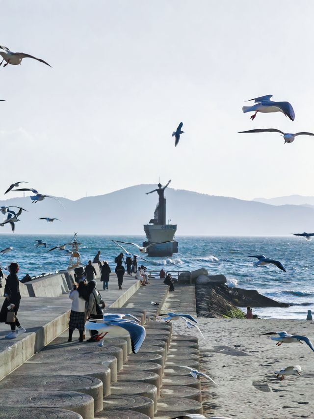 釜山海邊0元徒步一日遊