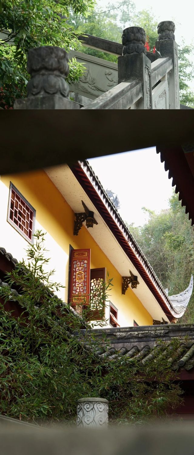 成都寺廟|去寺廟裡過春天