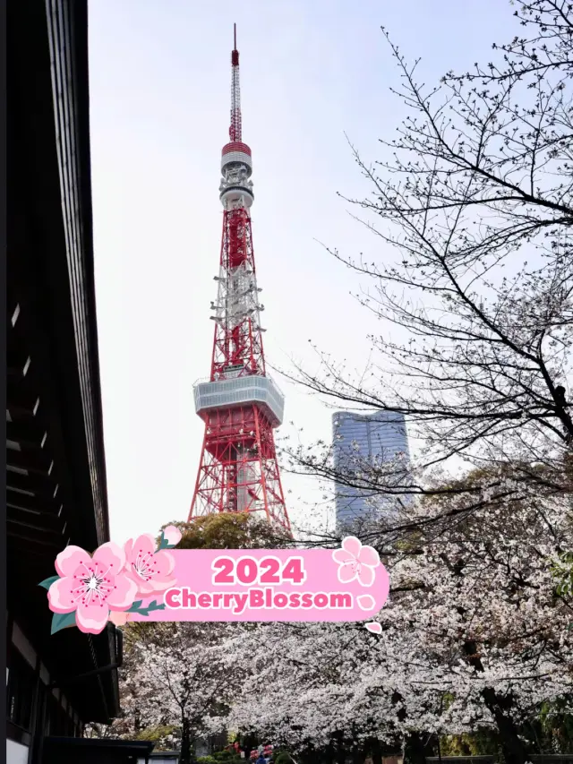 Must visit Tokyo tower 🗼 japan 🇯🇵