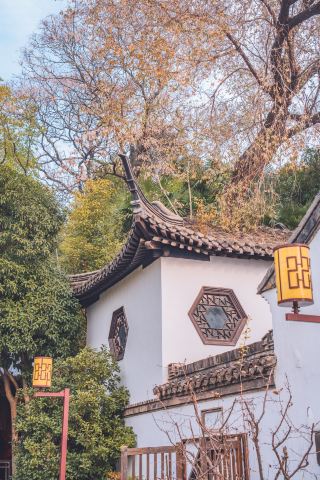 독립적으로 여행하기에 적합한 고우 인문 지역: 친우 팔경 '문유대'!