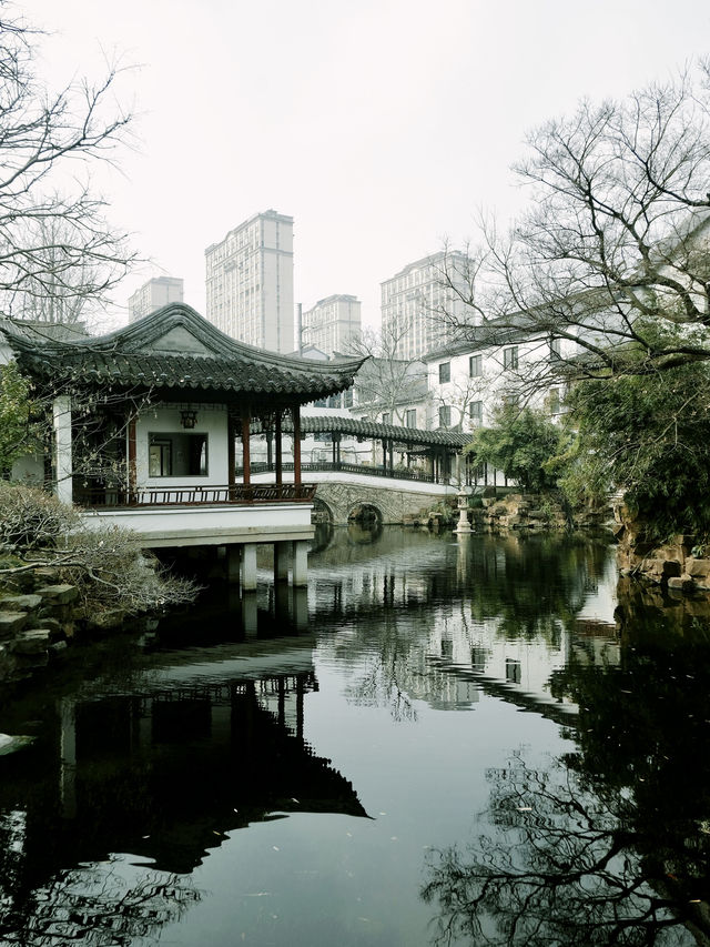 賞梅季節｜太倉南園市區寶藏園林