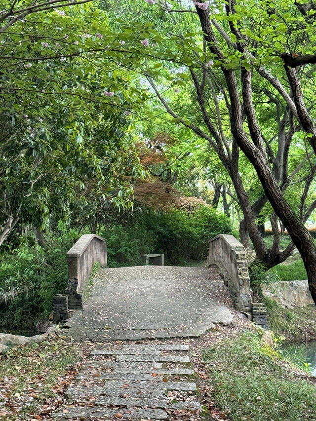 走進無錫貢湖灣濕地公園，感受原始森林之美