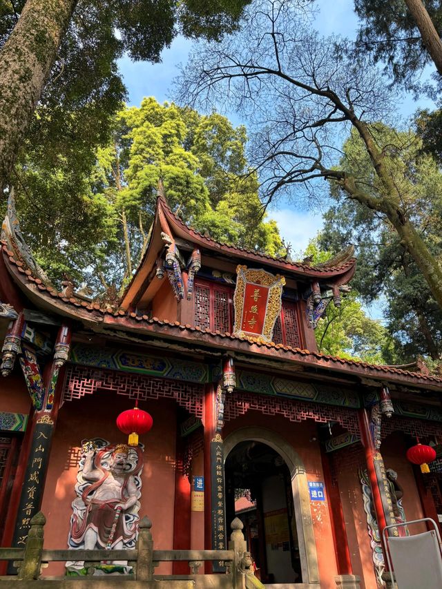 成都周邊1h直達，輕徒步+齋飯+喝茶