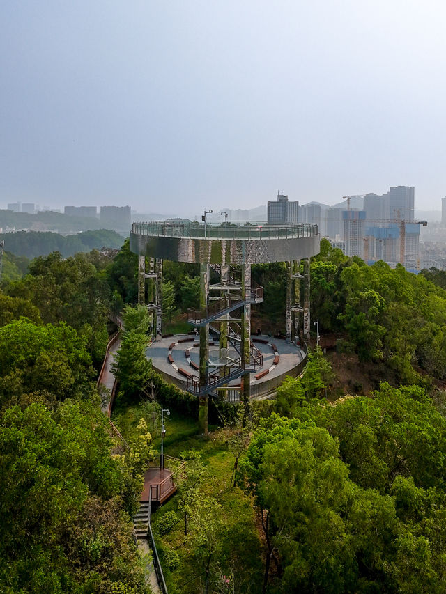 深圳，這個屬於未來之城該有的賽博朋克模樣