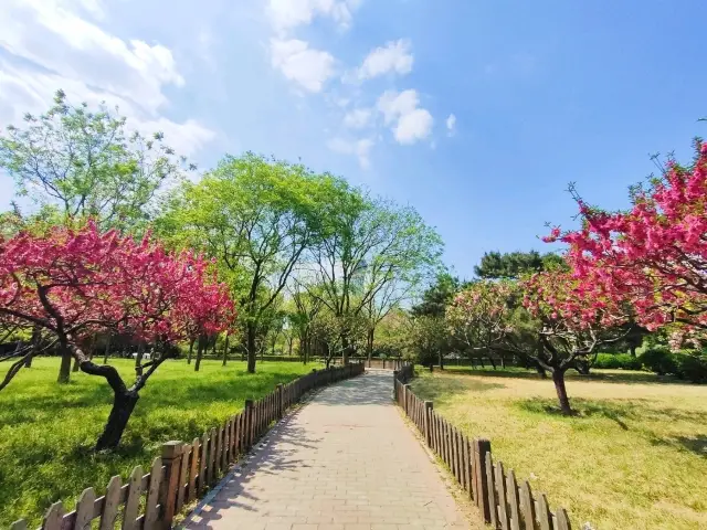 在蓮花池公園感受寧靜氛圍