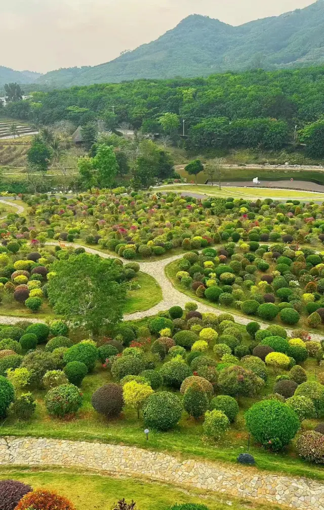 Arriving at the Cloud House amidst the pine waves, one is met with a sudden expanse of clarity