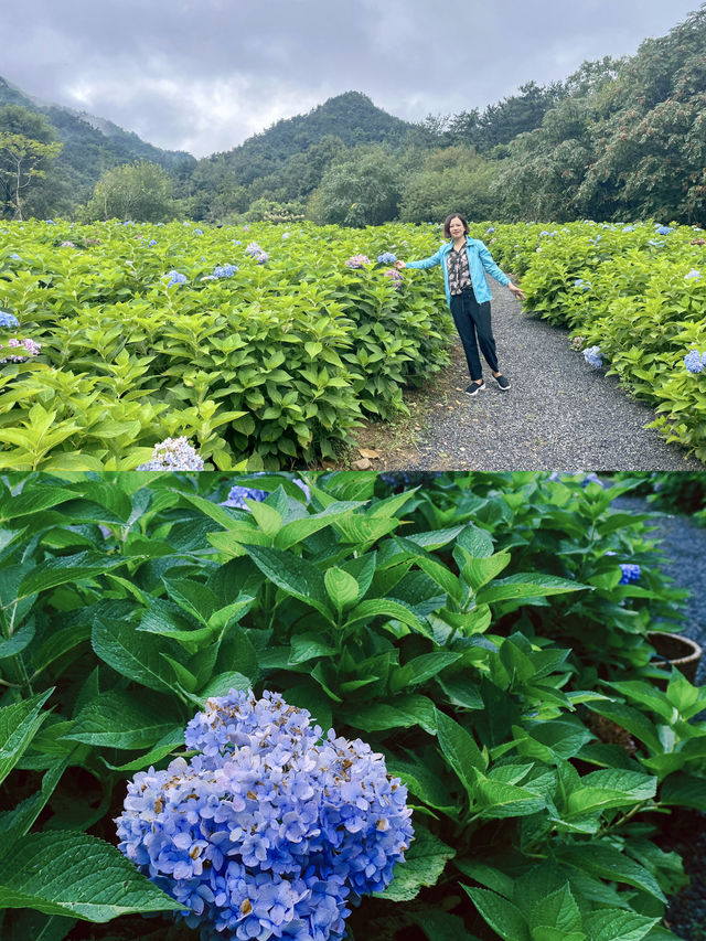 煙台旅遊｜夏日昆嵛山石門里徒步好去處