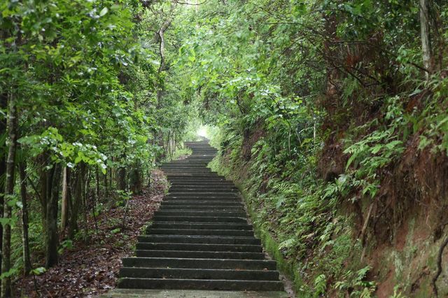 中國旅遊日｜東西岩，丹霞畲鄉只為與你相遇