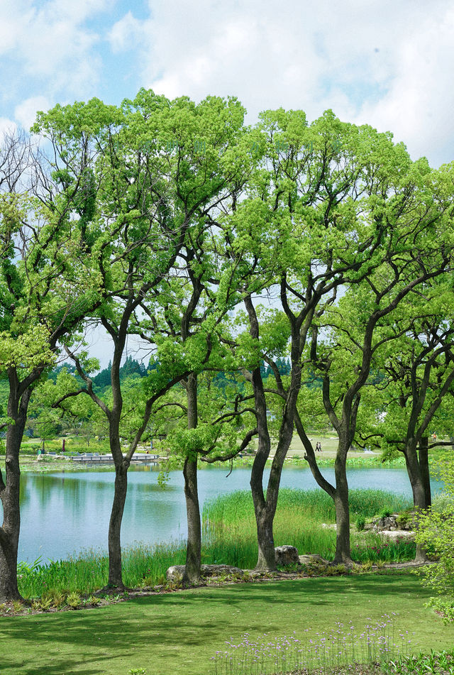 樹張力爆棚的植物園別錯過啦