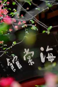 成都地鐵直達免費公園！海棠花已到最佳賞期