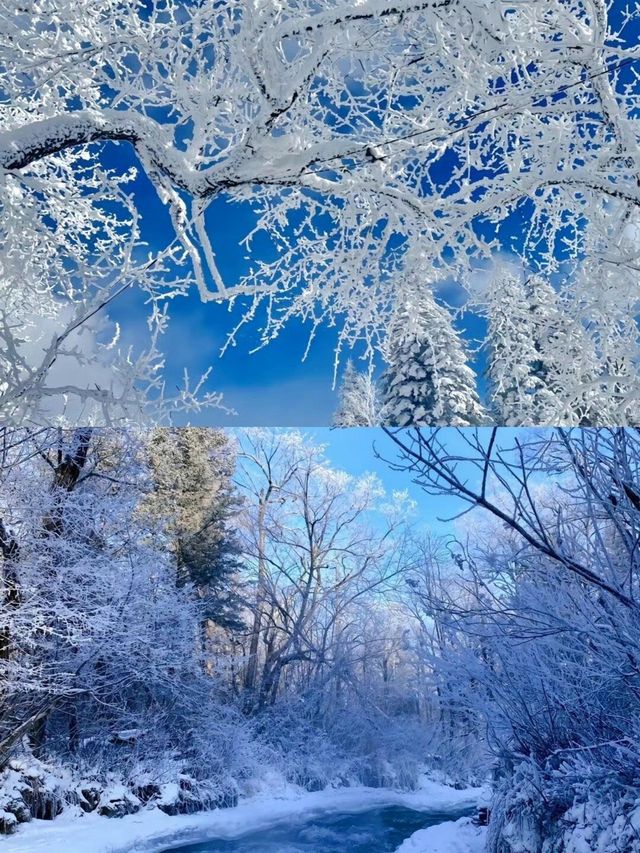 答應我一定要去長白山