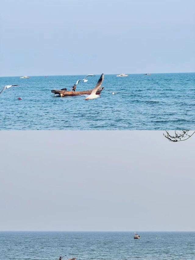 葫蘆島 遼寧興城最美興城海濱