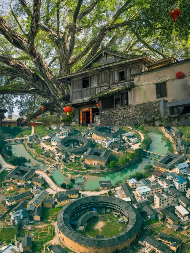 為了這張照片我暴走了座土樓群