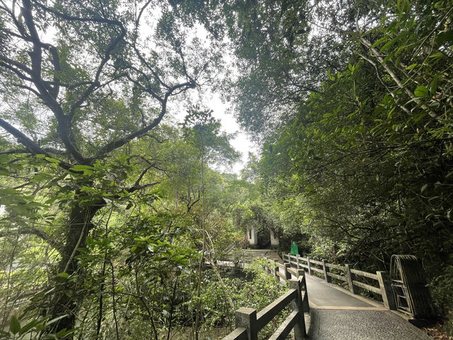 從化廣東溫泉賓館裡面的白石山