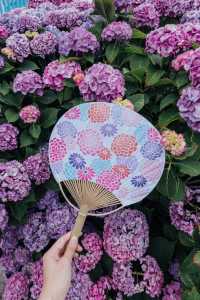 東京舊中川 | 晴空塔下紫陽花開滿河岸