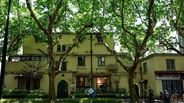 很難對這個季節的新华路說愛你 很難對這個季節的新华路說愛你