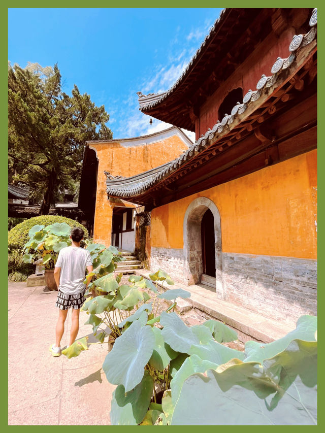 台州旅行寺若成·國即清絕美避世千年古剎