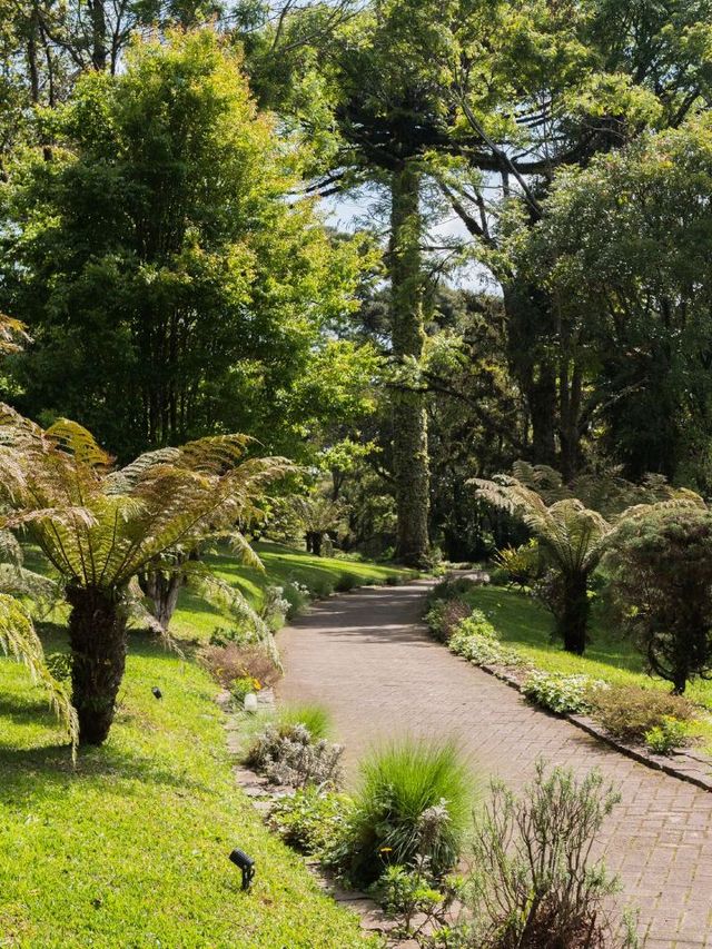🌟 Gramado Getaway: Wish Serrano's Stellar Stay! 🌟